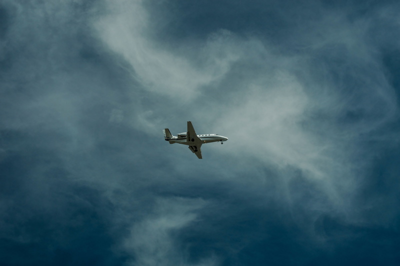 plane, airplane, animals in the wild, mid-air, cloud - Sky, low, nature, vertebrate, spread wings, air, cloudscape, seagull, one animal, low angle, mode of Transport