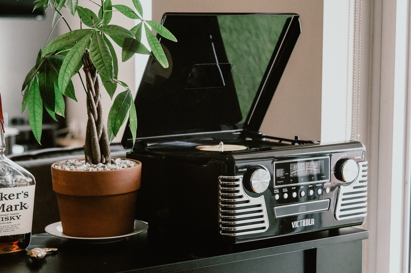 cassette player, geranium, table, still life, close-up, hemp, growth, analog, piano, entertainment center, lcd screen, nature, communication, potted plant