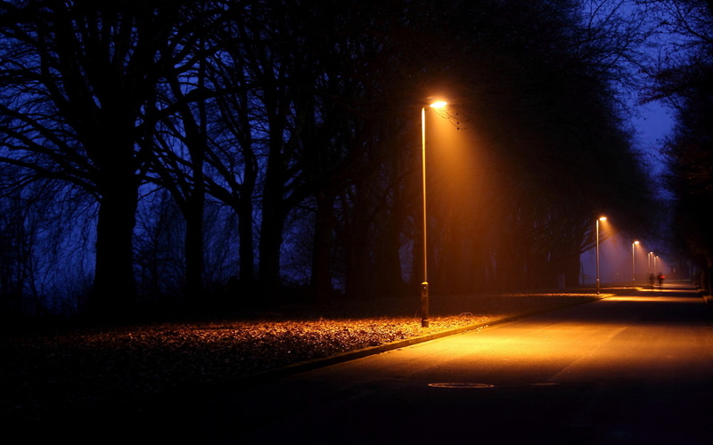 nature, people, lightbeams, 1080P, lamps, roads, trees, lights, night, lamp post