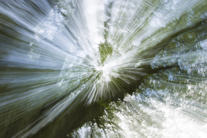 movement, light, freshness, green color, full frame, outdoors, tree, nature, lightbeam, beauty in nature, land, branch, day, light and shadow, forest, beam