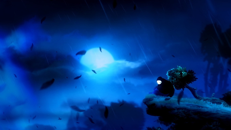 animal themes, vertebrate, group of animals, marine, animal, undersea, underwater, fish, sea, sea life, swimming, water, 1080P, invertebrate, ori and the blind forest