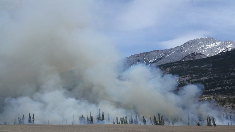 scenic, mist, trees, forest fire, smoke - physical structure, physical geography, environment, steam, geology, mountain, beauty in nature, mountain range