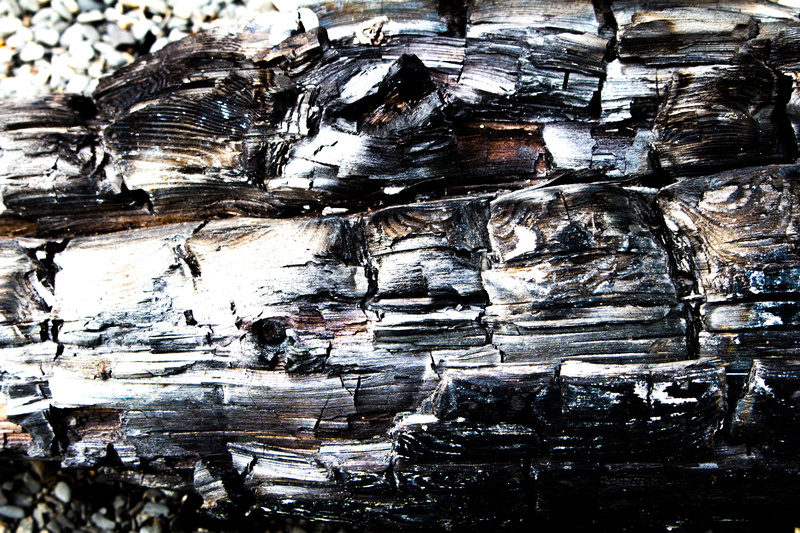 wood - material, bark, outdoor, hot, day, reflection, texture, natural pattern, Driftwood, outdoors, close-up, built structure, textured effect, Wood, Coal