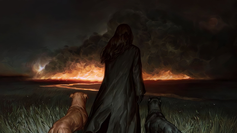 digital, wildfire, dog, 2K