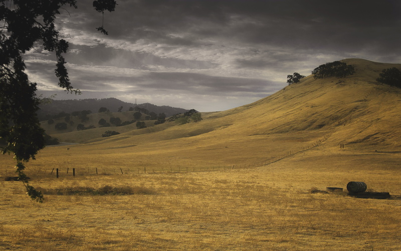 photo, brown, After The Fire, taken, rocky, scenics, oaks, terrain, 4K, hills, landscape, nature, California  drought, wildfires, rural, outdoors, mountain