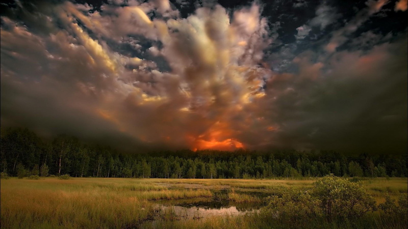burning, field, heat - temperature, tranquil scene, tree, nature, grass, land, wildfire, cloud - sky, landscape, beauty in nature, scenics - nature, forest