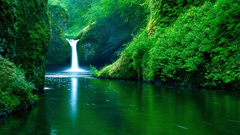 hd, rivers, plants, trees, 1080P, water, nature, art, forests, landscapes, x, waterfall, moss, reflections, Green