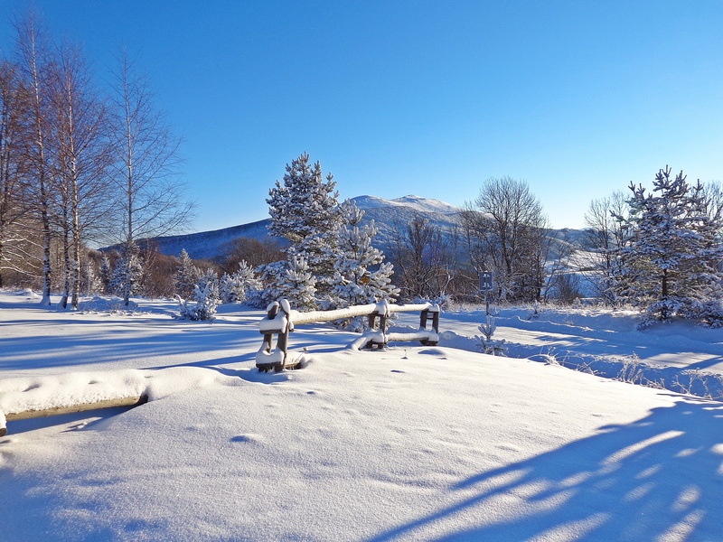 sunlight, biel, the beauty of the mountains, winter in the mountains, holiday, white color, hiking, land, nature, day, tree, blue, white, skis, stok, environment