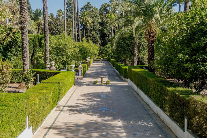 road, hedge, outside, palm tree, Landscape, beautiful, park, park - Man Made Space, bushes, shadow, diminishing perspective, seville, Trees, Seville, walkway
