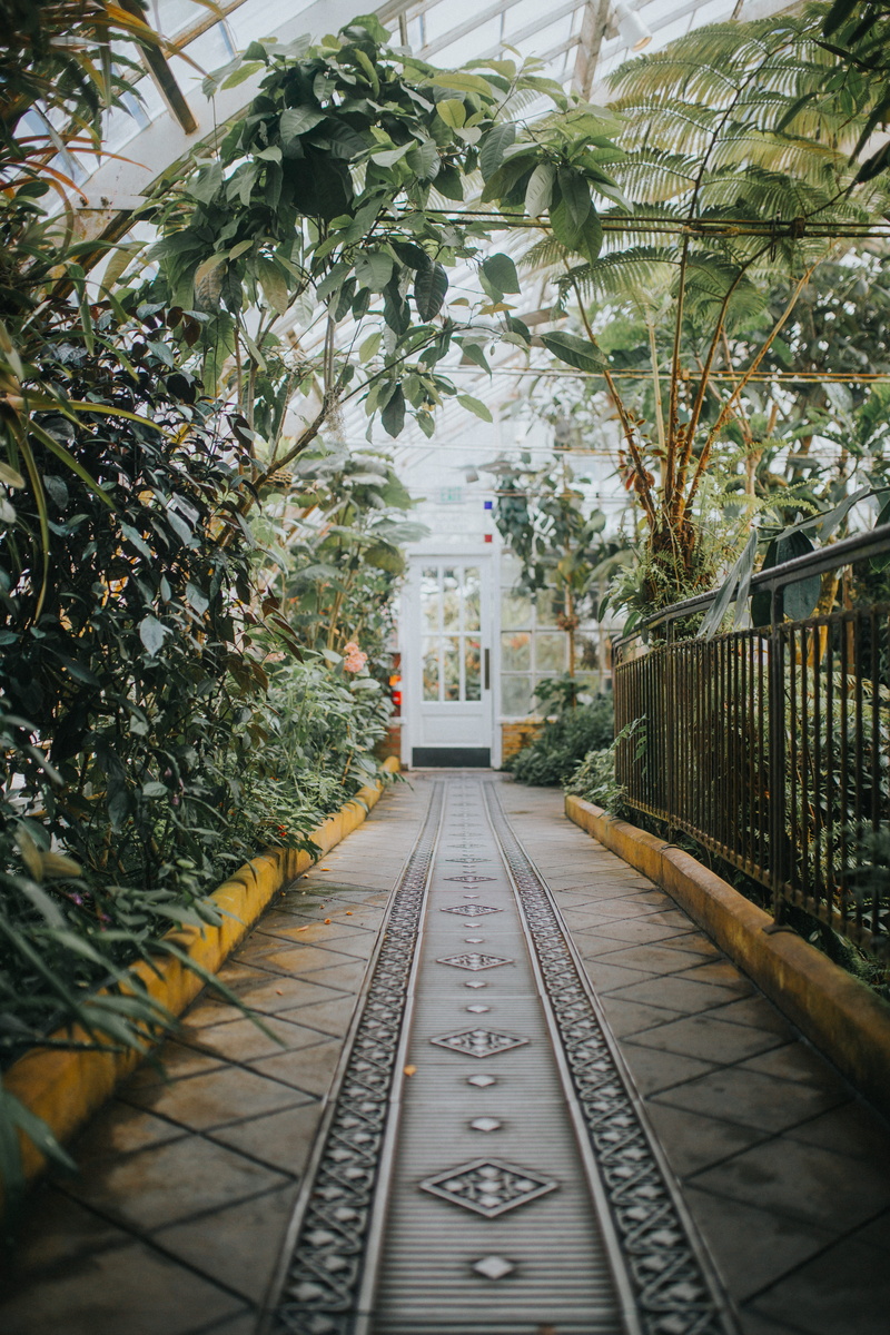 foliage, inlay, metal, greenhouse, sidewalk, gray, san francisco, diminishing perspective, the way forward, nature, long, garden, outdoors, leaves, door