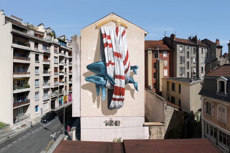street art, 5K, street, cityscape, France, rooftops, house, city, mural, graffiti, urban, Grenoble, whale, animals, building