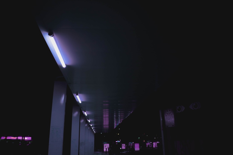 neon light, purple, night, copy space, direction, neo, light fixture, indoors, the way forward, nature, lighting equipment, ceiling, future, low angle view