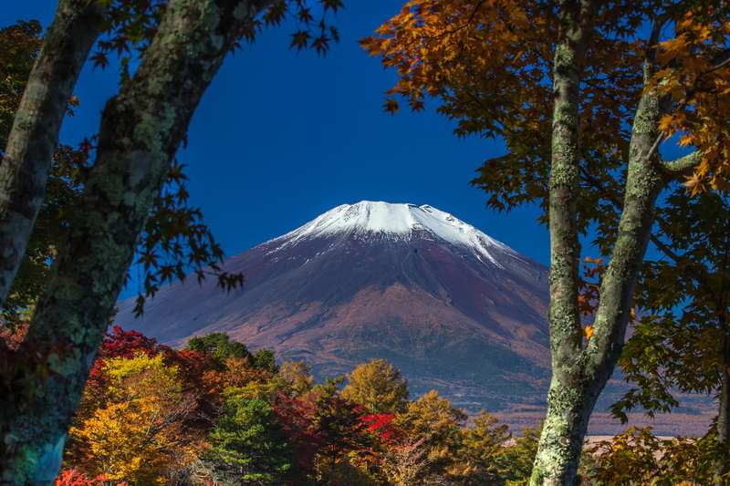 the sky, 1080P, autumn, Japan, plant, change, tranquility, scenics - nature, trees, leaves, mountain, outdoors, sky, tranquil scene, winter, land, mt