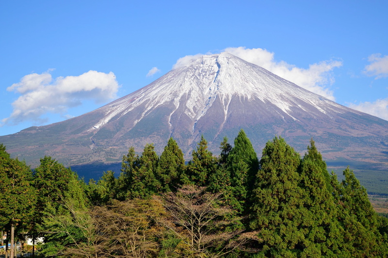 snow, japan, shizuoka, mountain, no people, growth, forest, volcanic crater, day, beauty in nature, hills, land, plant, 2K, scenics - nature, snowcapped mountain