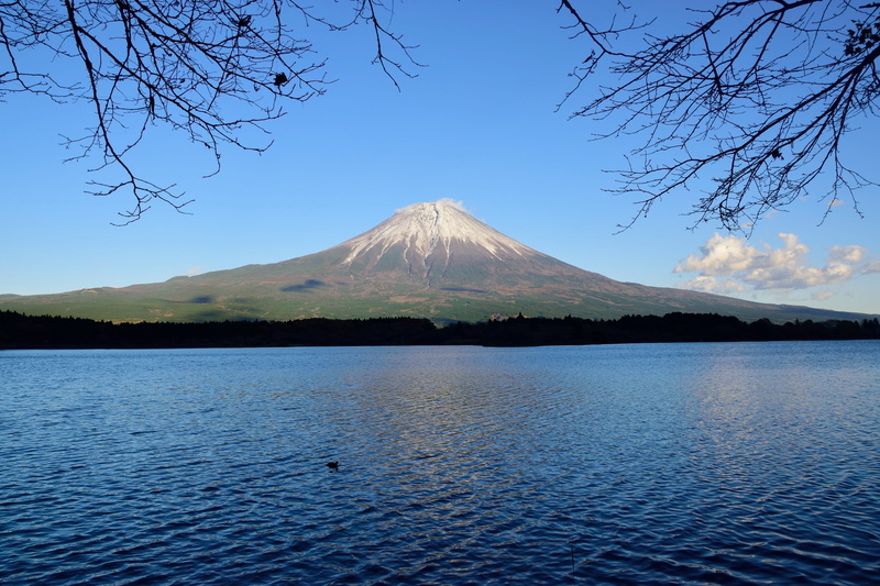 lake, tourism, volcanic crater, day, plant, nature, shadow, beauty in nature, no people, travel destinations, japan, fuji, scenics - nature, snowcapped mountain