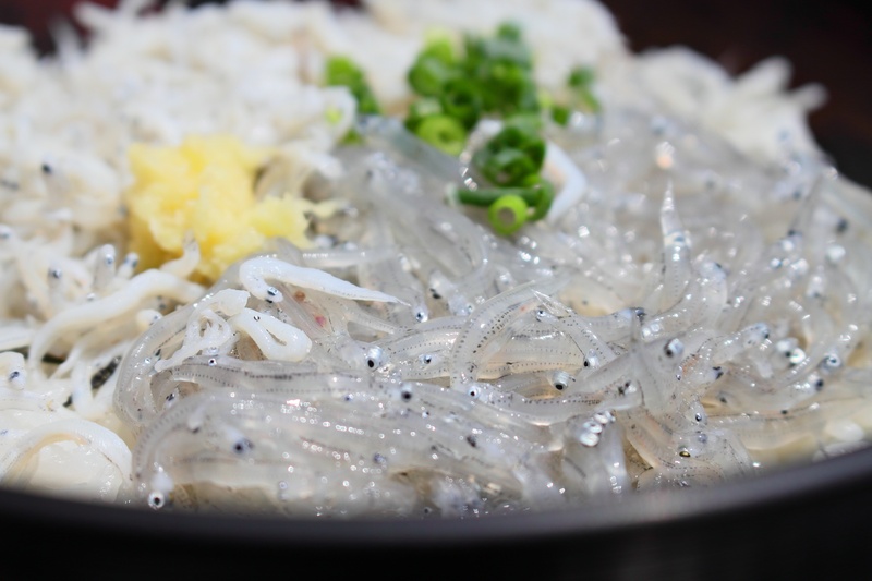 wellbeing, dinner, still life, meal, no people, tagonoura, gourmet, 4K, seafood, serving size, food and drink, shirasu, freshness, pasta, asian food, close-up
