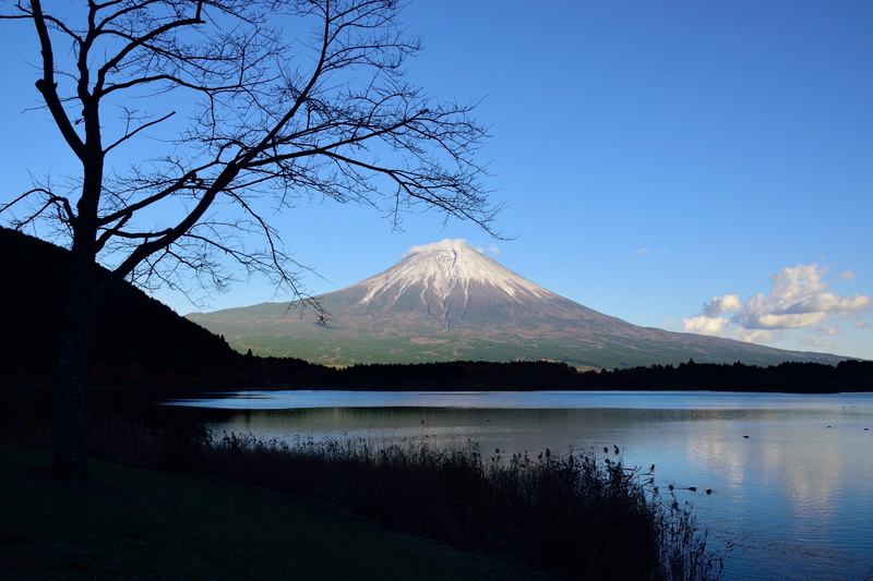 tranquility, outdoors, tree, sky, fuji, japan, snowcapped mountain, lake, scenics - nature, no people, shizuoka, plant, water, 2K, nature, beauty in nature