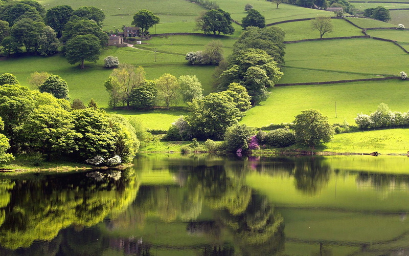 water, lush foliage, house, idyllic, plant, grass, foliage, green, no people, beauty in nature, Scenery, field, amazing nature, tranquil scene