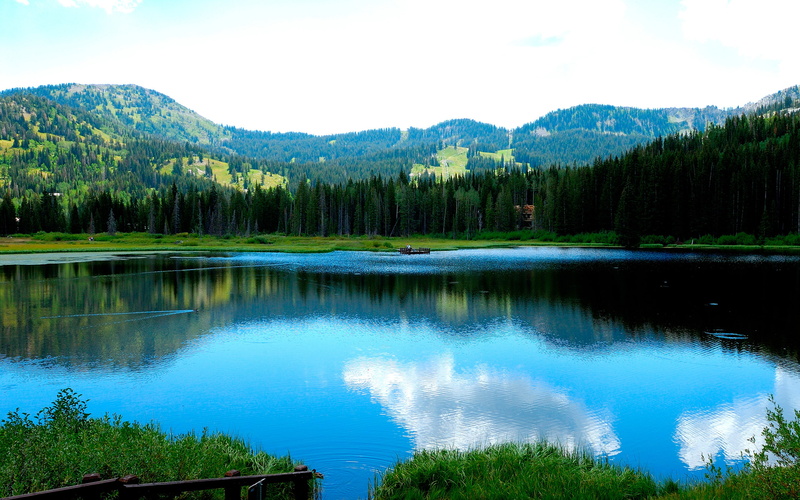 amzing, trees, Lake, amazing nature, Nature, hd nature, view, beautiful nature, 2K
