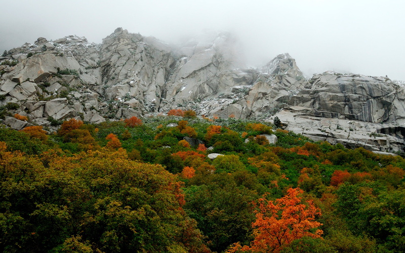 Nature, autumn, greenary, grey, non-urban scene, hd nature, rock, tranquil scene, change, tranquility, mountain, mountain peak, tree, plant