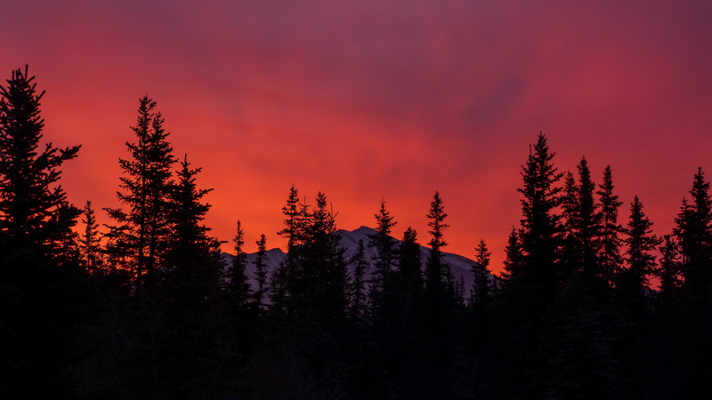tranquility, tree, non-urban scene, vacation, autumn, land, pine tree, amazing, rockies, plant, sunset, alberta, pinaceae, summer, orange, pink, black