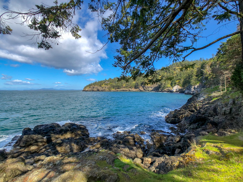 tranquil scene, no people, plant, tree, island, rock - object, land, photography, landscape, rock, day, nature, 4K, san juan island, pacificnorthwest