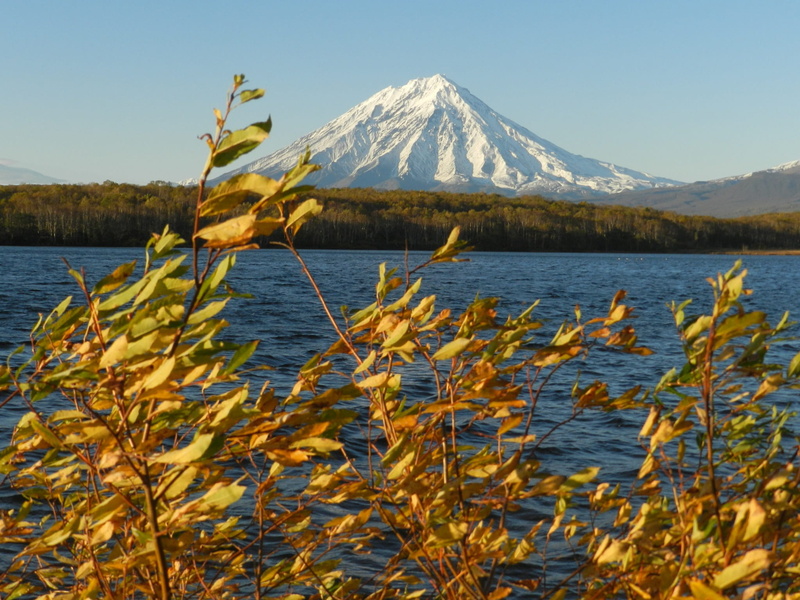 golden foliage, snowy mountains, zing, outdoors, sky, fall colors, water, no people, ice, non-urban scene, beauty in nature, volcano, mountain range, clear sky