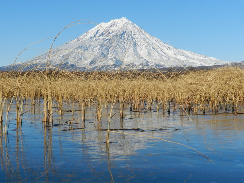 golden grass, lake, 1080P, snow, sky, kamchatka, mountain peak, beauty in nature, ice, non-urban scene, winter, reflection, scenics - nature, tranquility