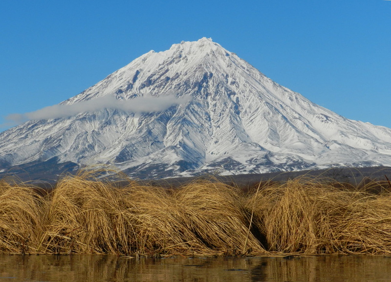 koryaksky volcano, snowy mountains, clear sky, no people, golden grass, outdoors, mountain peak, cold temperature, tundra, scenics - nature, tranquility