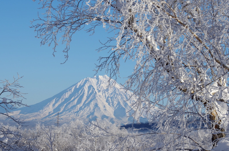beauty in nature, snow, no people, cold, nature, birch, mountain, ice, cherry blossom, plant, cold temperature, early morning, kamchatka, tundra, sky, frost