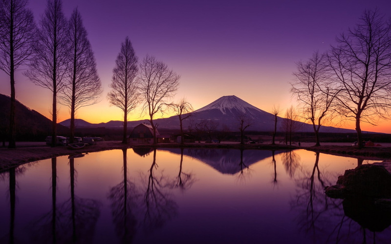 tranquility, plant, tranquil scene, scenics - nature, island, sunset, silhouette, tree, water, no people, standing water, Nature, idyllic, bare tree, reflection