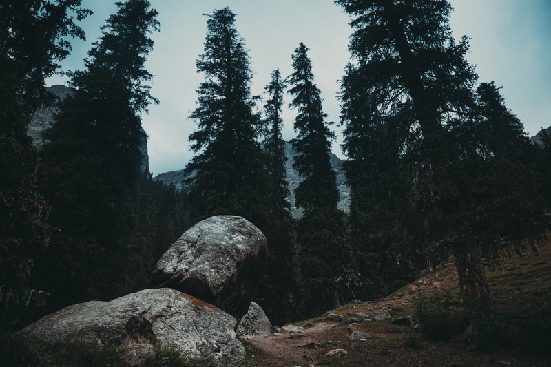 горы, scenics - nature, day, growth, land, природа, лес, coniferous tree, sky, rock - object, 5K, plant, tranquility, forest, non-urban scene, tranquil scene