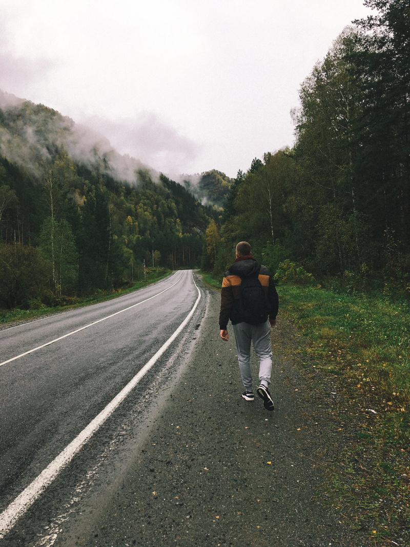 trees, mountains, casual clothing, nature, road, man, transportation, real people, lifestyles, tree, beauty in nature, rear view, diminishing perspective