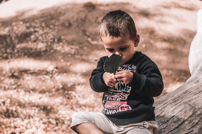 looking, child, front view, kids, nature, casual clothing, childhood, focus on foreground, warm clothing, innocence, holding, россия, gorkinsko-ometievskiy forest