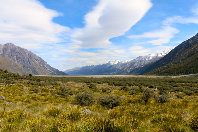 idyllic, mountain range, mountains, non-urban scene, 5K, glacier, growth, grass, sky, beauty in nature, valley, land, new zealand, day, plant, mountain