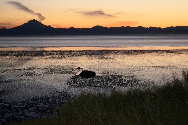 cloud - sky, animal themes, idyllic, one animal, mt redoubt, sky, tranquility, tranquil scene, outdoors, vertebrate, sea, scenics - nature, no people, sunset