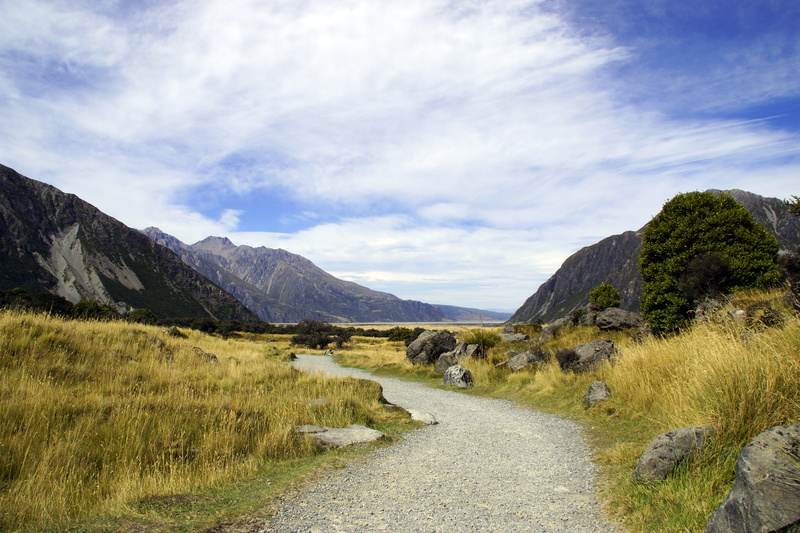 landscape, 5K, footpath, nature, plant, wilderness, scenics - nature, direction, road, south island, no people, the way forward, mt cook, mount cook, beauty in nature