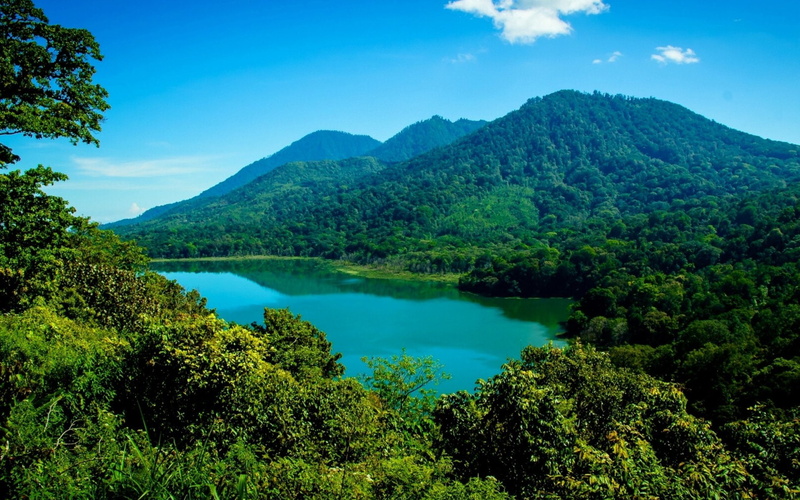 Mount Agung, Indonesia, 1080P, Bali, Forest, Mountain, Mountains, Tree, Earth
