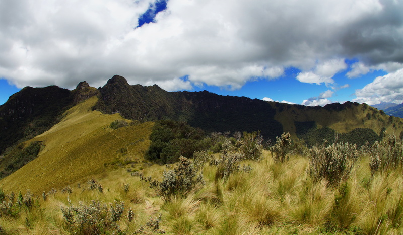 climber, hiking, cloud - sky, vacation, day, blue, tourism, travel, mountain, adventure, green, beauty in nature, tree, forest, paramo, park, holiday, nature