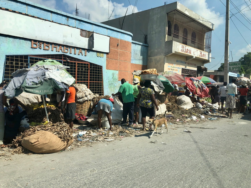 day, real people, streets, nature, human, city, pet, road, person, bazaar, street, social issues, group of people, beside, urban, building, canine, trash