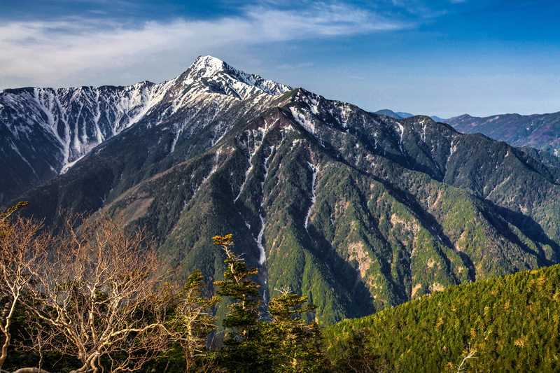 environment, nature, snowcapped mountain, pine tree, landscape, no people, 5K, scenics, day, japan, japan the second highest peak straddles the border between