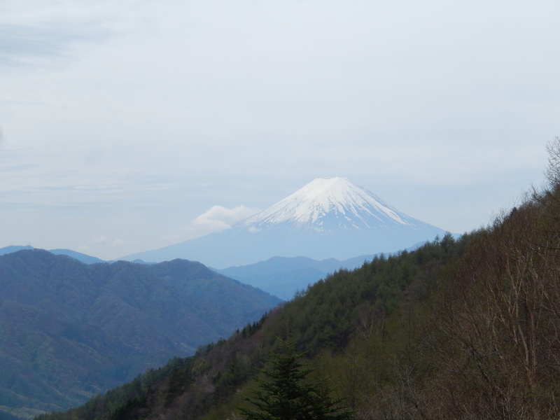 outdoors, volcano, tree, non-urban scene, snowcapped mountain, mt fuji, tranquility, cloud - sky, idyllic, mountain range, natural, environment, day, mountain