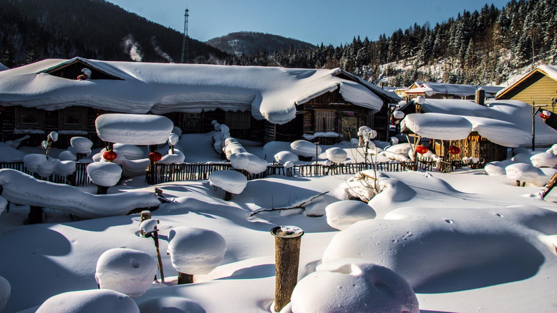 snowy, mudanjiang, winter, shuangfeng forest farm, china, hailin, village, 4K, house, forestry bureau, snow, heilongjiang, asia