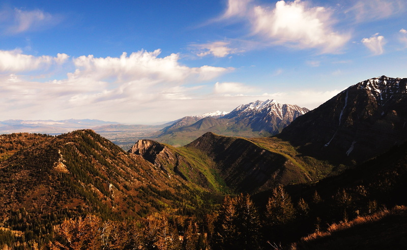 United States, physical geography, tranquil scene, snowcapped mountain, idyllic, Utah, forest, From, 2K, green, day, travel, mountain peak, Mount, Mountain