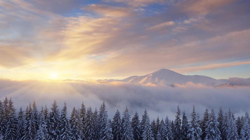 beauty in nature, tree, cold temperature, lens flare, sun, idyllic, environment, pine tree, mountain, tranquility, sunray, snowcapped mountain, tranquil scene