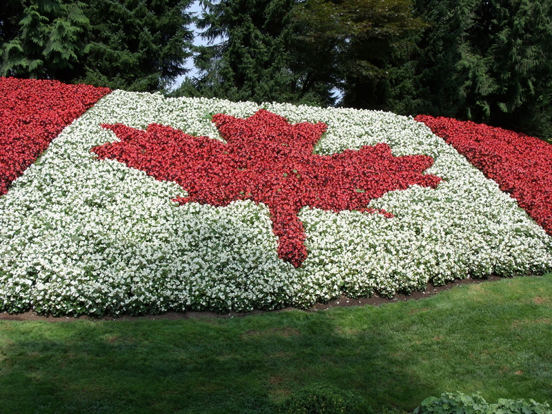landscape, growth, no people, red, garden, 4K, flag, nature, plant, creativity, canadian, flower, high angle view, canada, flowerbed, day, formal garden