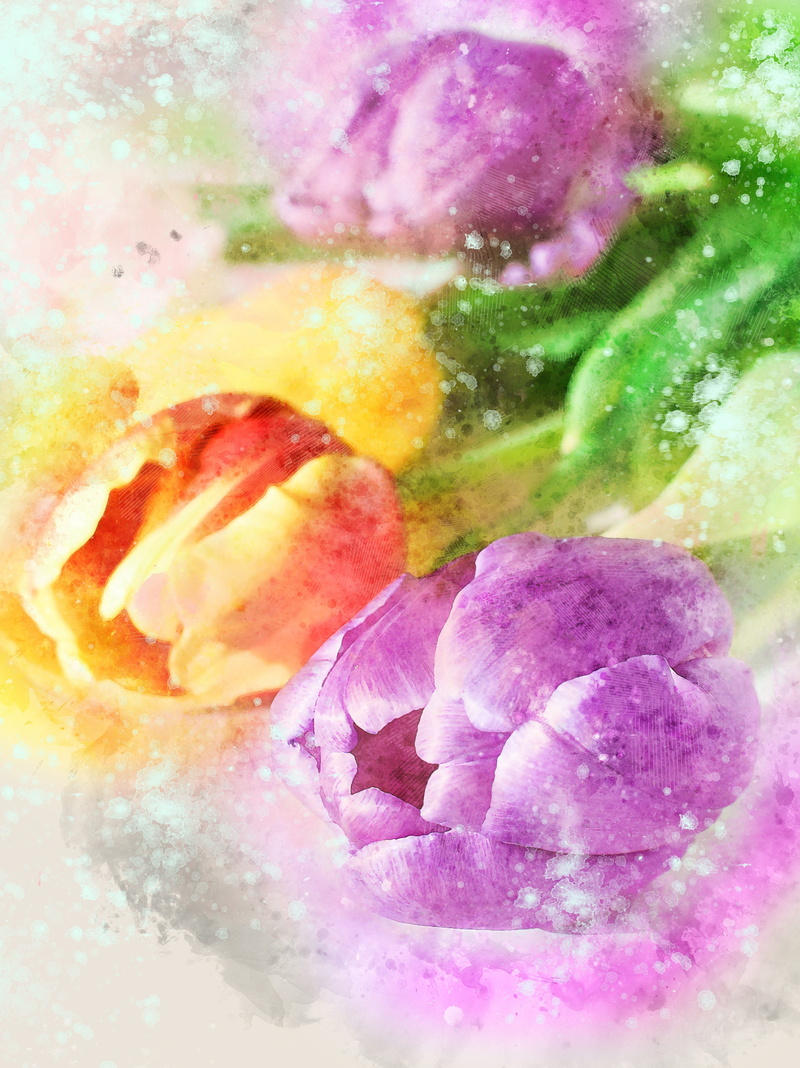 gift, greeting, flowering plant, bouquet, yellow, festive, one, pink color, nature, tulip, decoration, food, celebration, freshness, color, happy, beautiful
