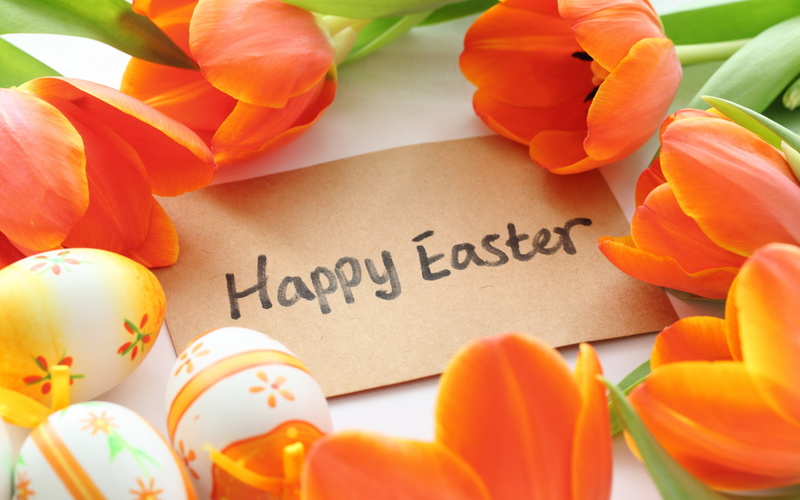 plant, food, card, egg, text, holiday, Festivals / Holidays, close-up, western script, fragility, flowering plant, tulip, tulips, high angle view, flowers