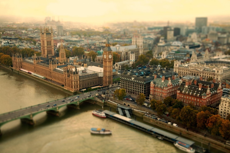 westminster palace, england, 1080P, animals, london, architecture, britain, the parliament