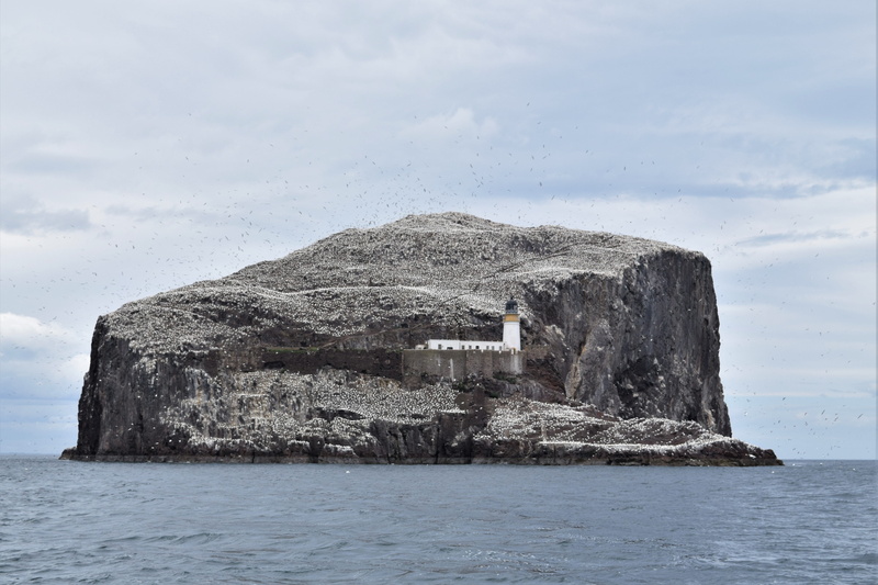cloud - sky, summer, gannets, solid, building, sea, beauty in nature, coastline, rock, natural, ocean, forth, sky, tranquil scene, waterfront, water, outdoors
